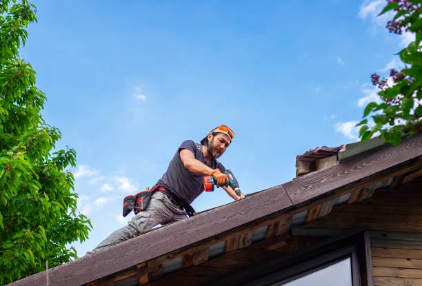 Trusted Hartington, NE Roofing services Experts